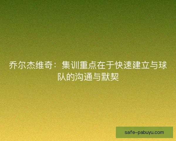 乔尔杰维奇：集训重点在于快速建立与球队的沟通与默契